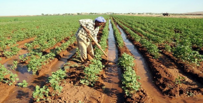 Dicle'den Borçlu Sulama Birliklerine 15 Gün Süre