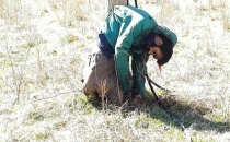 Direğe bağlayıp kurşuna dizdiler