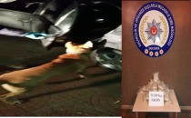 Doğu ilinden gelen uyuşturucu sevkiyatı polise takıldı