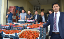 Domates fiyatları tavan yaptı