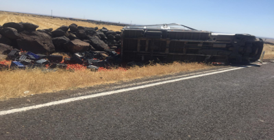 Domates yüklü pikap devrildi: 1 yaralı