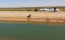 Sulama kanalına düşen köpeği itfaiye kurtardı