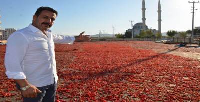 Dünya Pazarına Açılıyor