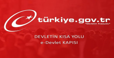 E-Devlet üzerinden 5 yeni hizmet daha