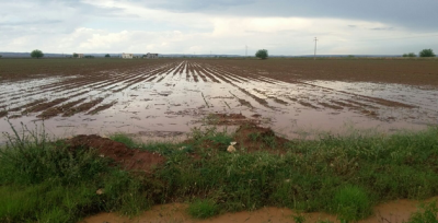 Ekili Tarım Arazileri Büyük Ölçüde Zarar Gördü