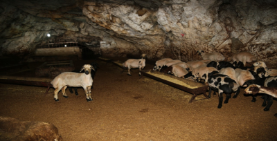 Ekinci, " Mağaralar Turizme Kazandırılacak"