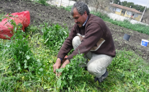 "Ektiğimizin karşılığını alamıyoruz"