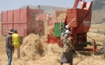 Elektrik borcu olana destek ödemesi yok