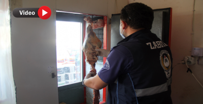 Eyyübiye Belediyesi Zabıta Ekipleri Denetimlerine Devam Ediyor