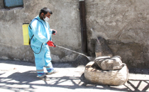 Eyyübiye Belediyesi İlaçlama Çalışmalarına Aralıksız Devam Ediyor