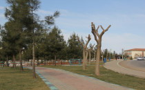 Eyyübiye Belediyesi İlçeye Yeni Parklar Kazandırıyor