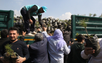Eyyübiye belediyesinden fidan dağıtımı