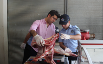 Eyyübiye Belediyesinden Kokmuş Et Operasyonu