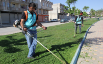 Eyyübiye Yeşile Bürünüyor