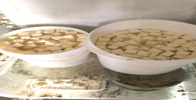 Eyyübiye Zabıtasının Gözünden Kaçmadı