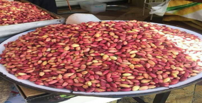 Fıstık Görücüye Çıktı