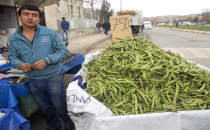 Fiyatlar çiftçileri memnun etmedi