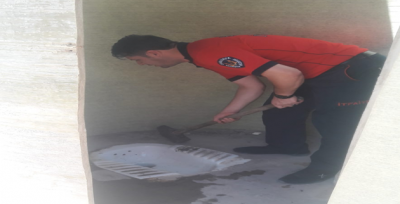 Foseptik Çukuruna Düşen Kedi Operasyonla Kurtarıldı