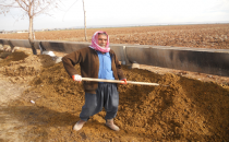 GAP Çiftçisi iflasın eşiğinde