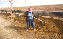 GAP Çiftçisi iflasın eşiğinde