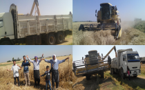 Gap Çiftçisinin En Zor Yılı