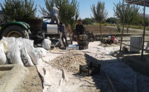 GAP'da ürün çeşidi çoğalıyor