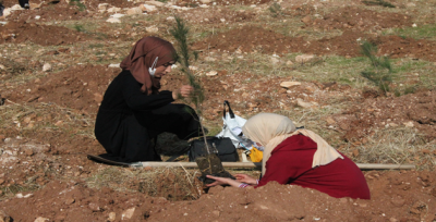 Geleceğe Nefes: fidanlar toprakla buluştu