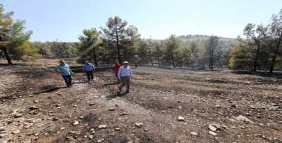 Göbeklitepe Çevresindeki Yangın Kısa Sürede Söndürüldü