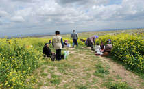 Göbeklitepe yeşillendi