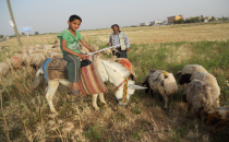 Göçerler ovaya döndü