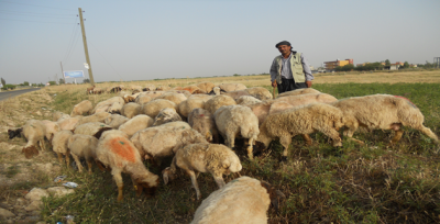 Göçerler yaylalardan dönmeye başladı