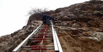 Güvercinin yardımına itfaiye koştu