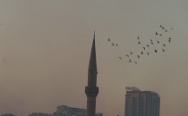 Hafta sonu kuş mesaisi