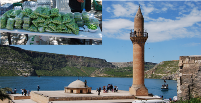 Halfeti Eriği Pazara Düştü