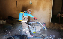 Haliliye Belediyesi, İlaçlamada Etkin Mücadelesini Sürdürüyor