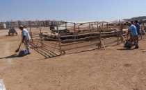 Haliliye Belediyesi Kurban Bayramı Hazırlıklarını Tamamladı