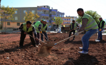 Haliliye Belediyesi'nden Çimleme Çalışması