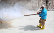 Haliliye Belediyesi'nden İlçe Genelinde Haşere Mücadelesi