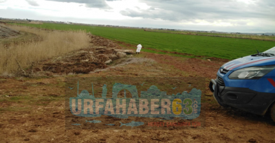 Haliliye Kaybolan Gençten Acı Haber Geldi