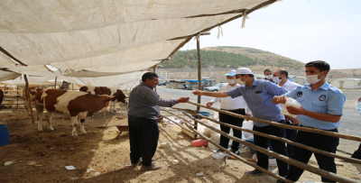 Haliliye 'Tedbirli' Kurban Bayramı'na Hazır