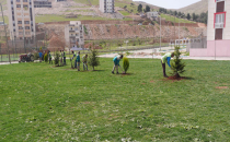 Haliliye Yeşilleniyor