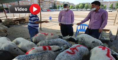 Haliliye'de Bayram Öncesi Tedbirler Hat Safhada