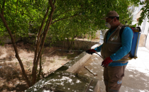 Haliliye'de Haşere İle Etkili Mücadele