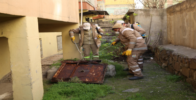 Haliliye'de Haşere Ve Sinekle Mücadele Hız Kesmiyor