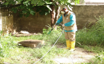 Haliliye'de Haşere Ve Sinekle Mücadele Hız Kesmiyor