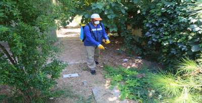 Haliliye'de İlaçlama Çalışması Aralıksız Devam Ediyor