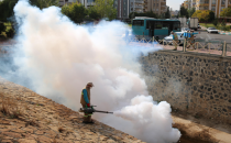 Haliliye'de Larva Mücadelesi Yeni Dönemde Devam Ediyor