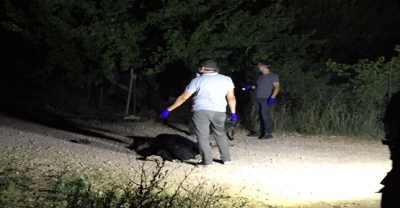 Haliliye'de silahlı kavga, 2 ölü