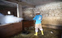 Haliliye'de Sineksiz Bir Yaz İçin Çalışmalar Devam Ediyor