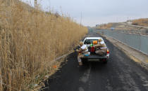 Haliliye'de Sivrisinek Kışlak Mücadelesi Devam Ediyor